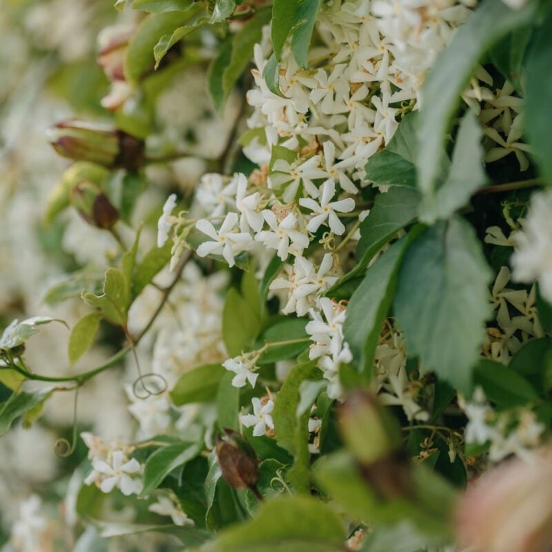 Seaside villas in Finale di Pollina | Natoli Beach House and Villas